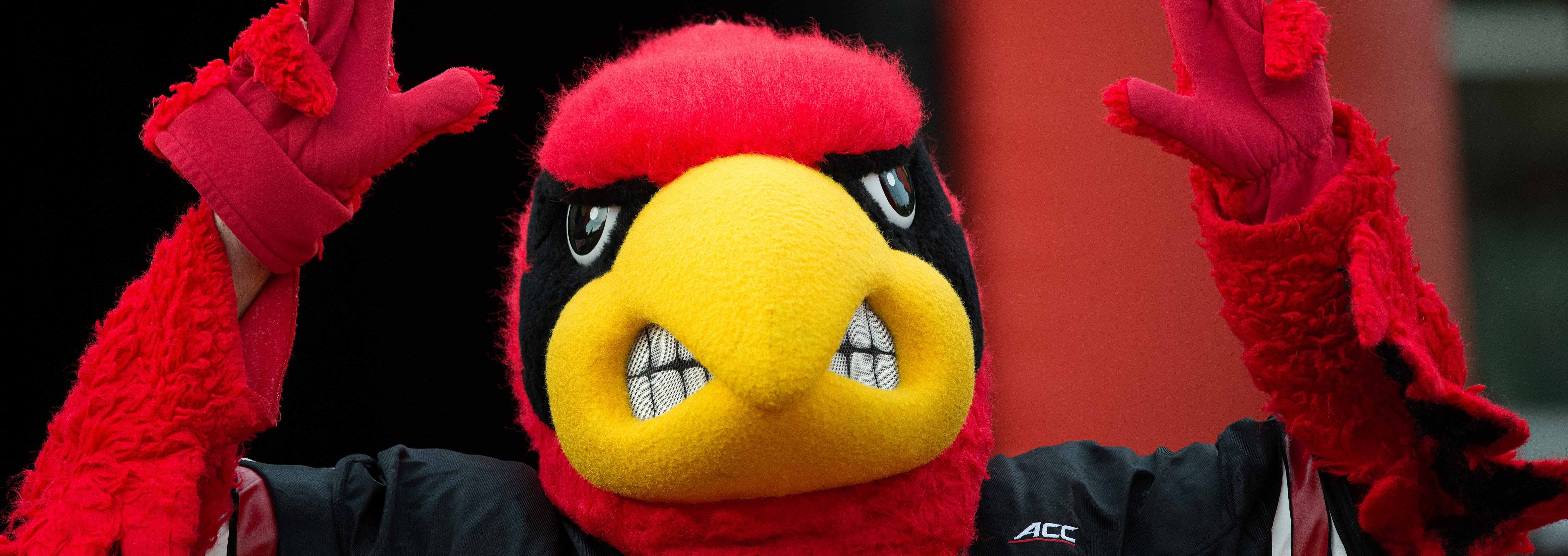 Louie the Cardinal, Cardinal Bird 2015 Louisville Spring Game 4-17-2015 Photo by Adam Creech Fitted
