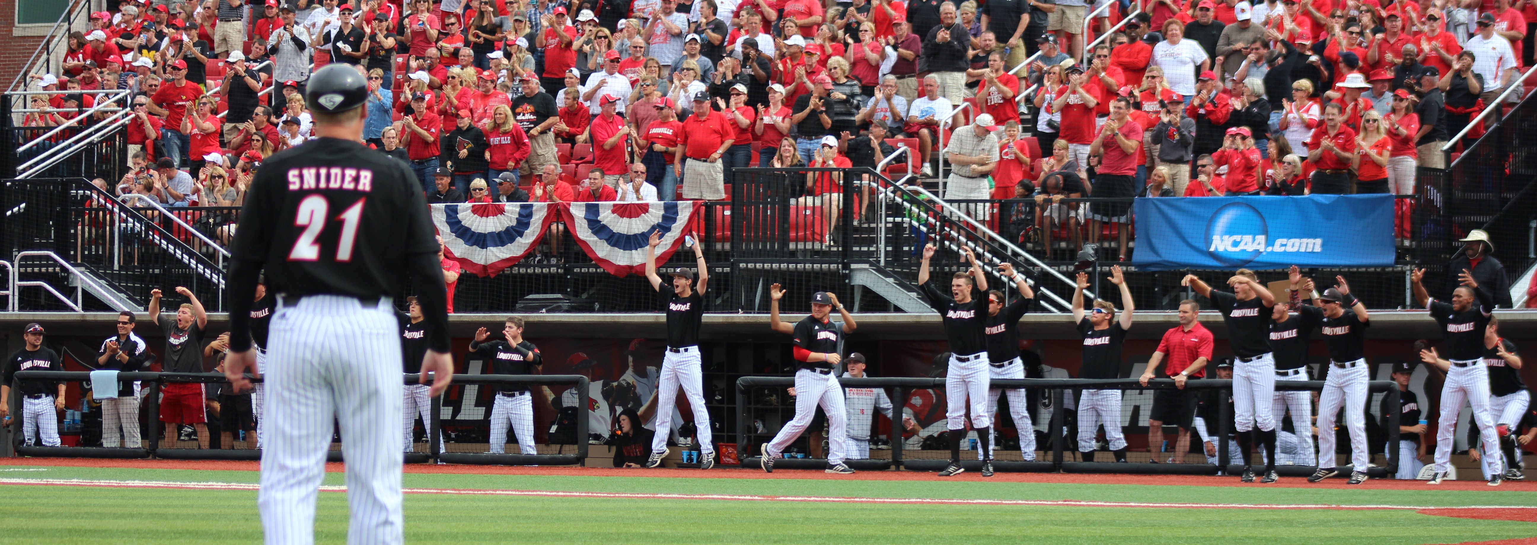 Dugout Celebration Louisville vs. Michigan 5-31-15 Photo by Mark Blankenbaker Fitted