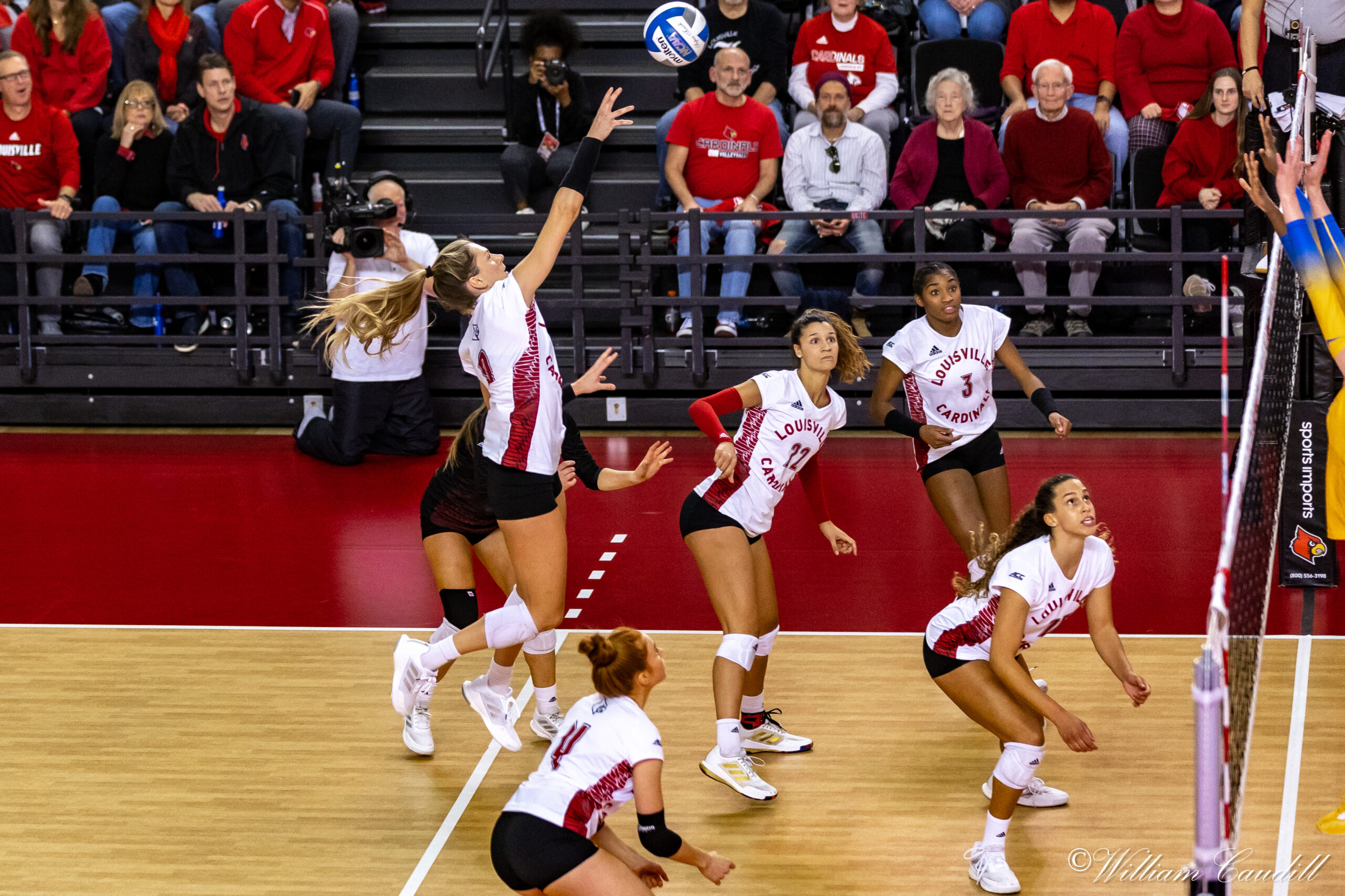 Louisville Volleyball 1 Seed in NCAA Tournament; Begins Play Friday At