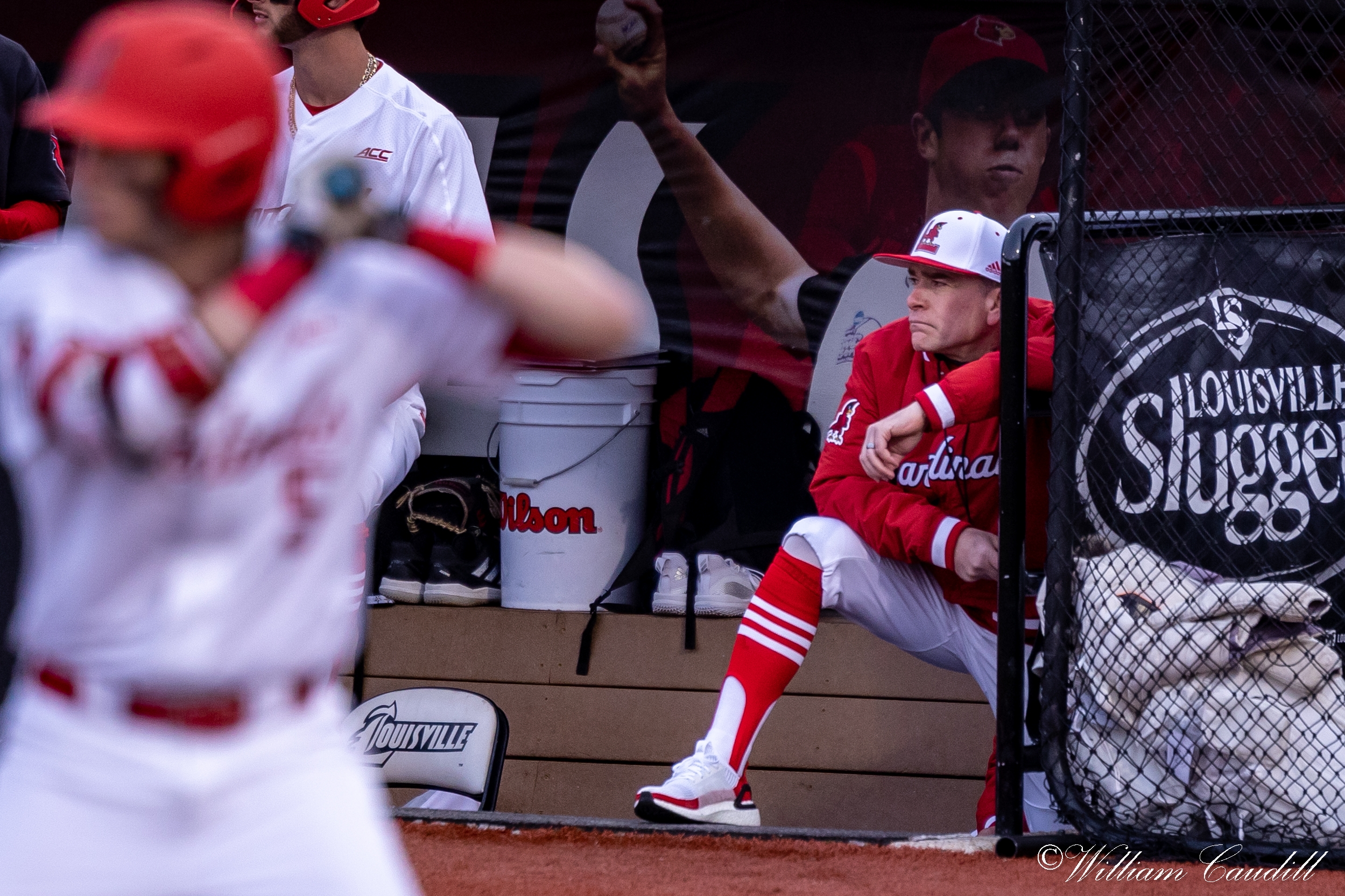 Jack Payton's Home Run Lifts Cardinals Past Florida State + GALLERY – The  Crunch Zone