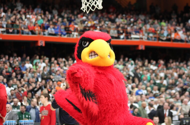 Louie the Cardinal Elite 8 Louisville vs. Michigan State in the 2015 East Region Final at the Syracuse Carrier Dome Photo by Mark Blankenbaker 3-29-2015