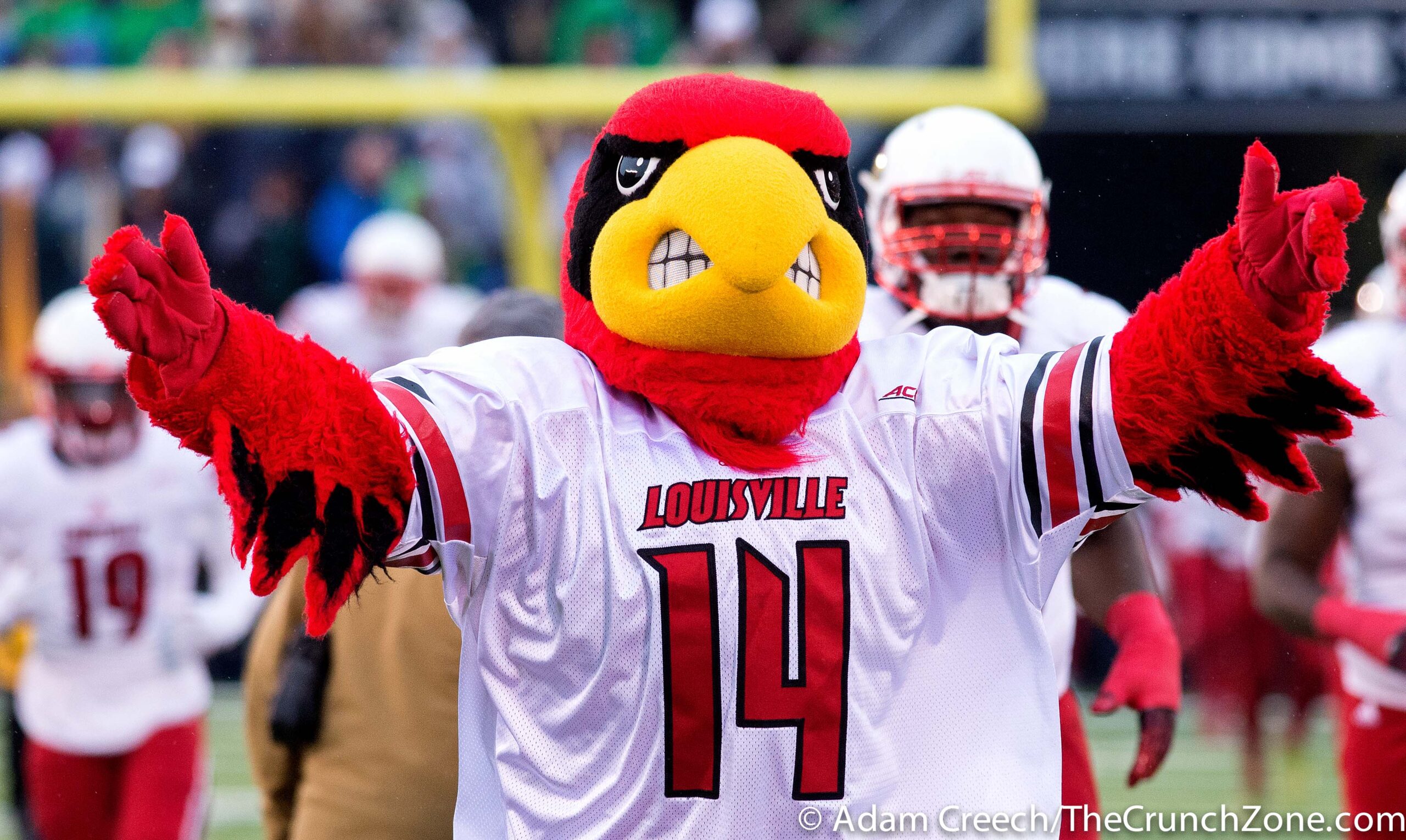 Louisville Cardinals Football University Of Louisville Mascot
