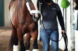 Kentucky Derby 146 Tiz the Law